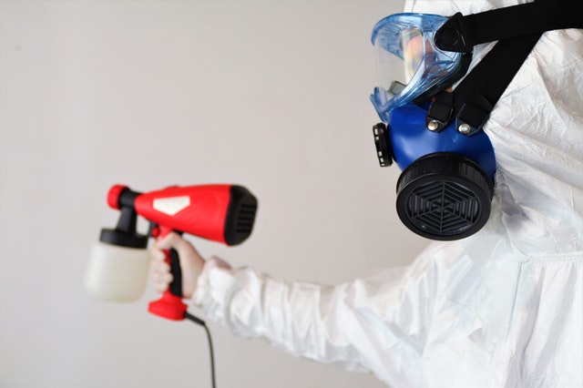 Do you get a guarantee after mold removal services? 